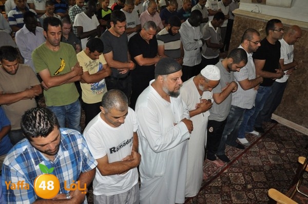 trawe7 mahmodiya 713 (20).JPG